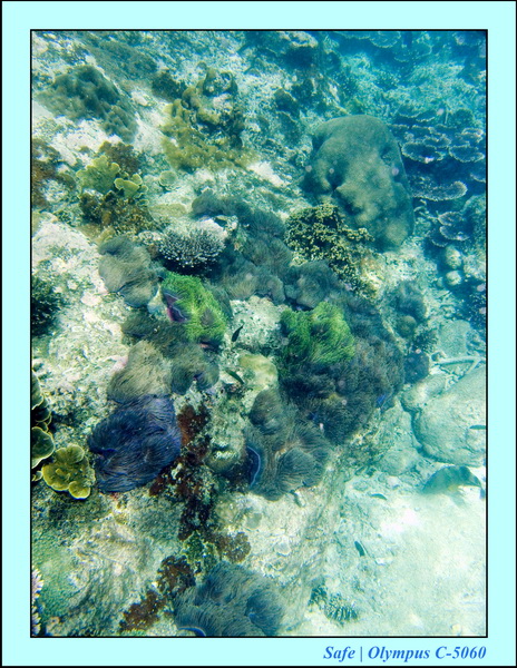 2008 - 07 - Redang - 004